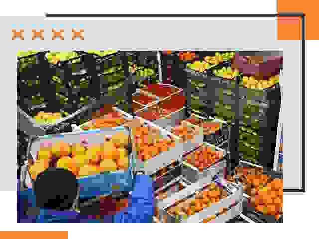 Перевозка скоропортящихся продуктов в Сафоново